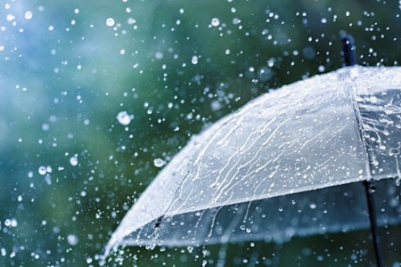 Umbrella on a rainy day