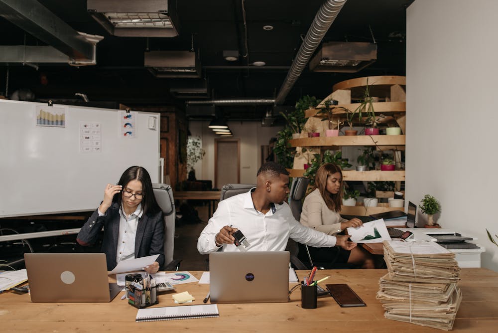 A group of people working on their computers in an office.