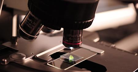A digital lab.