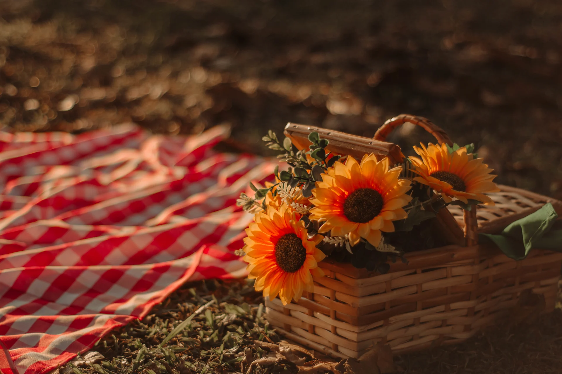 Ensaio Fotográfico em Itajaí - KaledoFotos Imagem 4