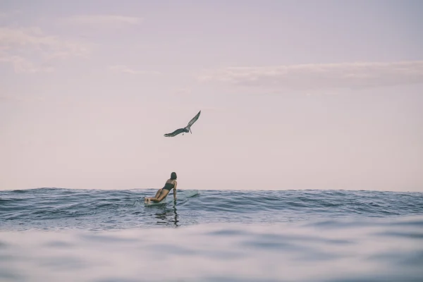 Surf Garage Art Co - Dos pájaros mañaneros