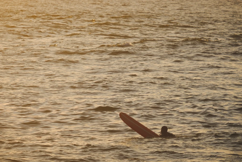 Surf Garage - Just the sea and a board