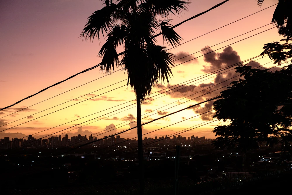 Surf Garage - Sunset in Brazil