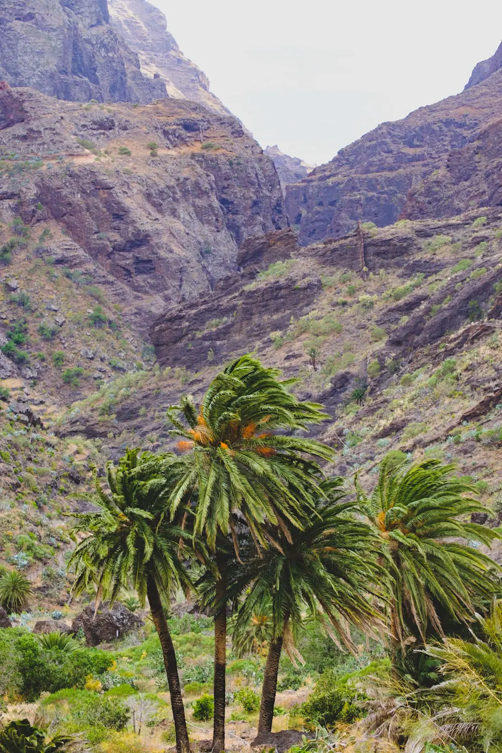 Surf Garage - Las Palmas de Tenerife