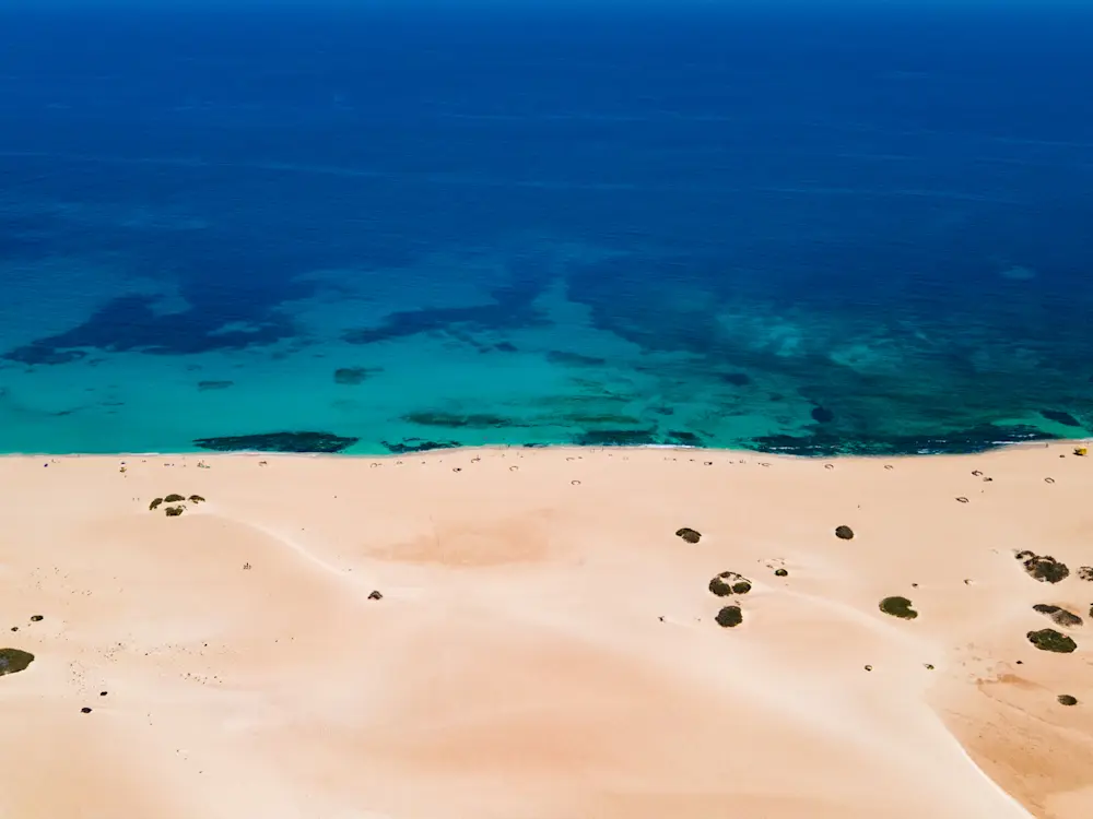 Surf Garage - Fascinante Fuerteventura