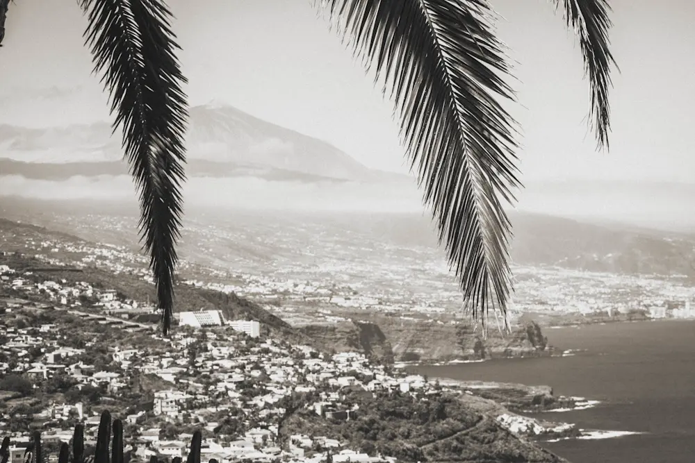 Surf Garage - Tenerife in black and white