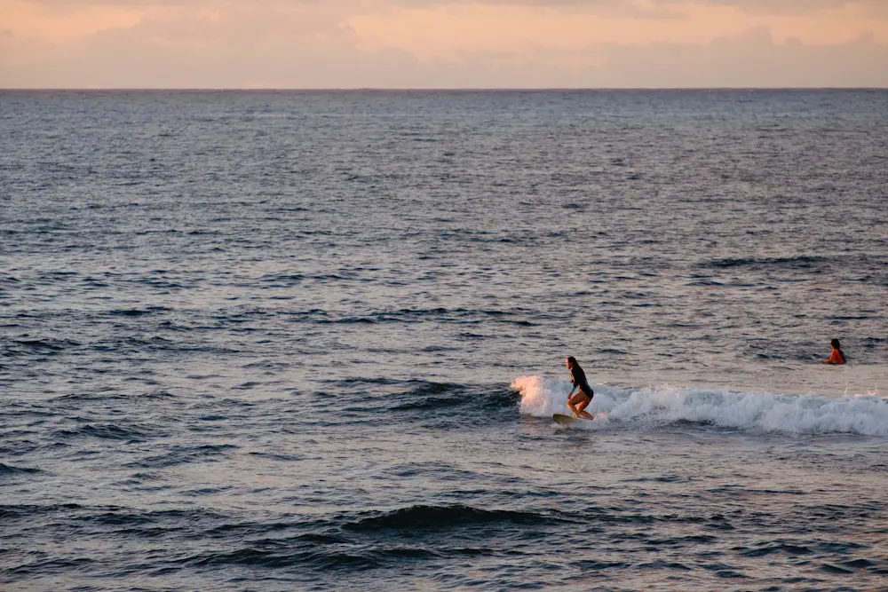 Surf Garage - Small waves LOT OF FUN