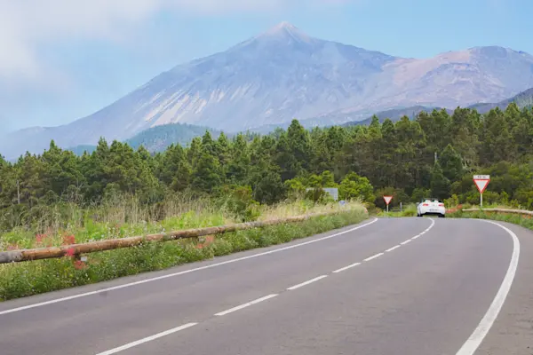 Surf Garage Art Co - Road to Teide