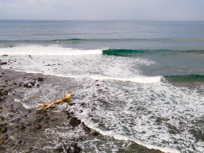 Surf Garage - Árbol de la suerte