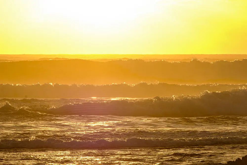 Surf Garage - Gold sunset, gold waves