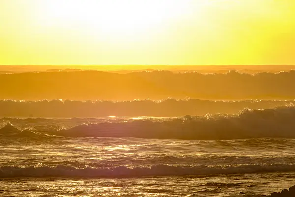 Surf Garage Art Co - Gold sunset, gold waves