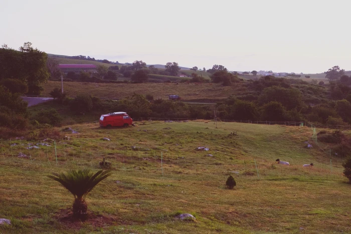 Surf Garage - First light of the morning