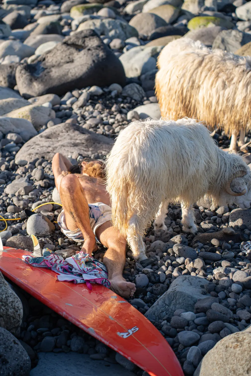 Surf Garage - Post Surf Siesta