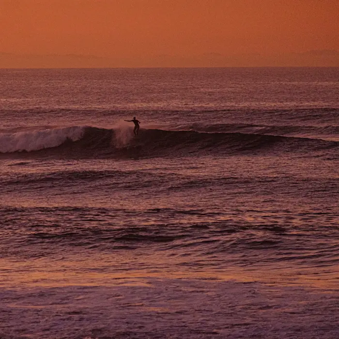 Surf Garage - That longboard guy