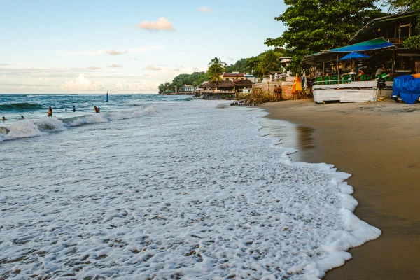 Surf Garage Art Co - Foam on a Brazilian beach