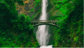 An arch-bottom bridge connects two sides of a vivid green forest jungle. A brilliant, single-column waterfall flows in the background.  