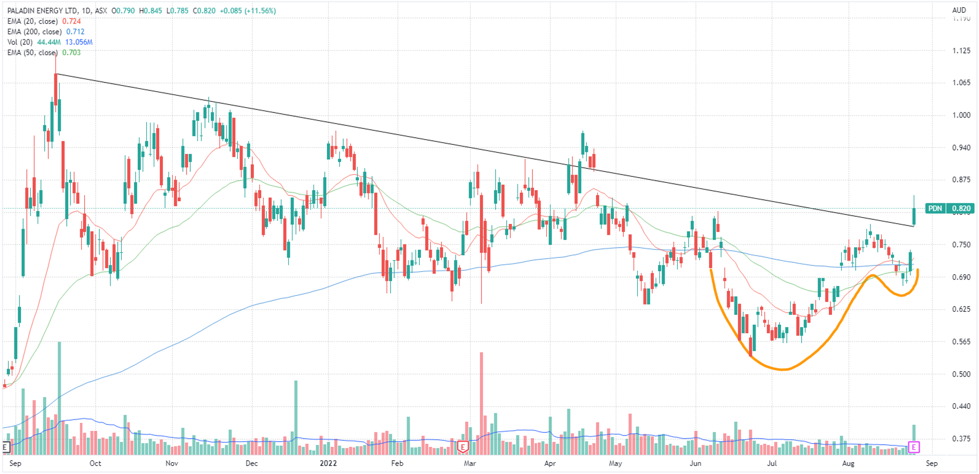 Paladin share price
