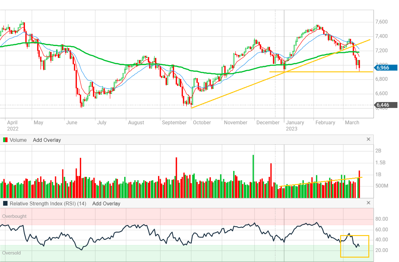 XJO (1)