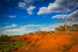 Outback north Western Australia; a pindan outcrop sporting eucalypts encases greenage after rains 