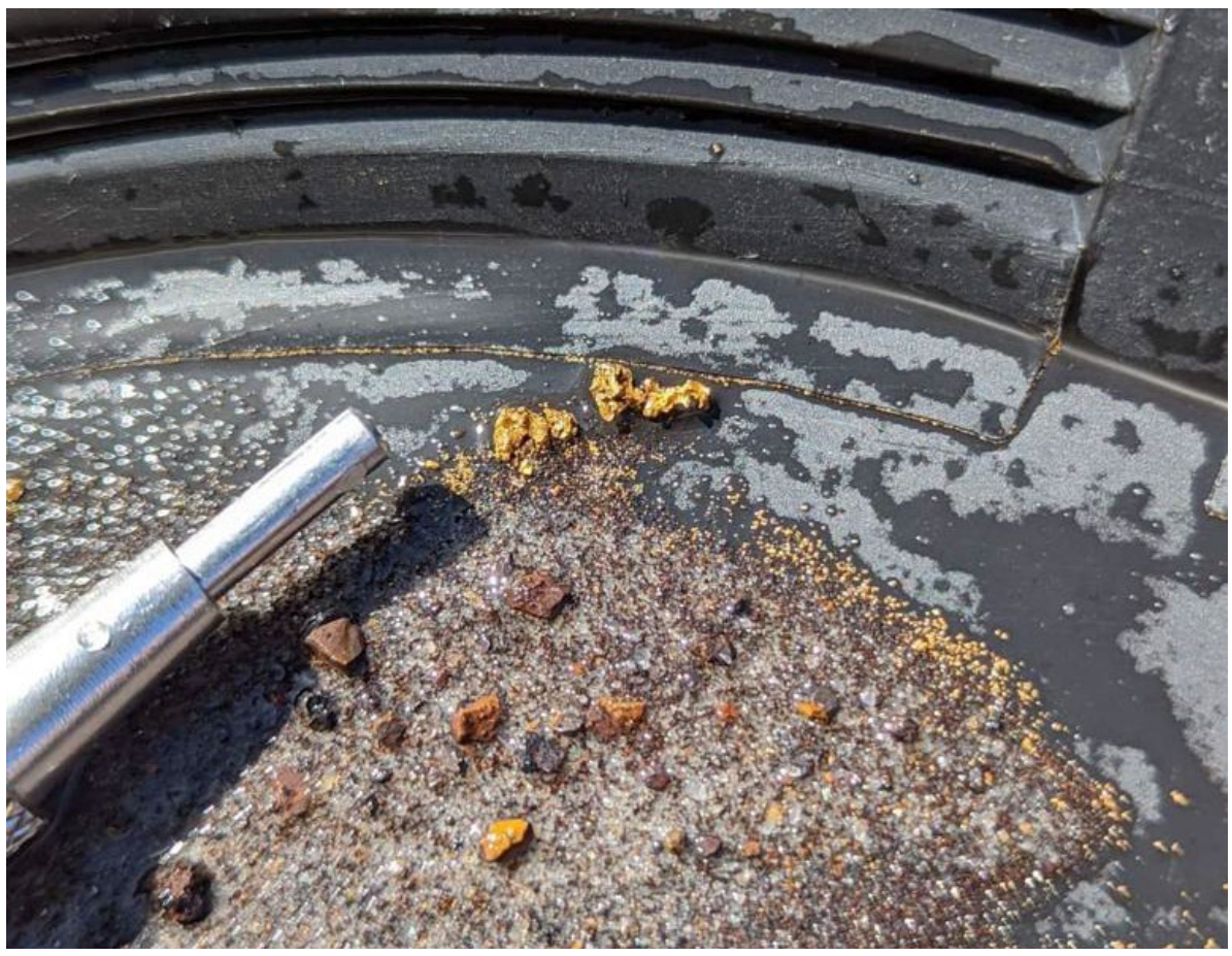 Coarse gold retrieved from some 50m down drillhole 22SAAC061; one of two holes for which outstanding results are announced today (source: Meeka Metals)