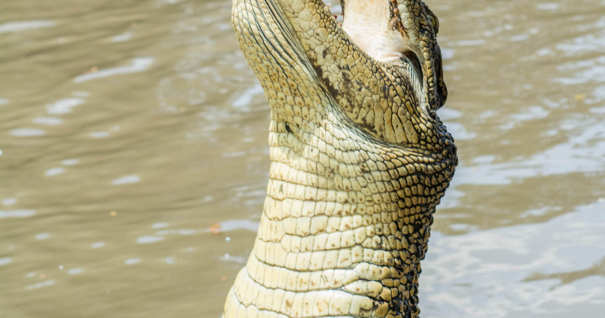 Microcap Tech stocks Enjoying A Double digit Kicker Following Nasdaq Rally microcap-tech-stocks-enjoying-a-double-digit-kicker-following-nasdaq-rally