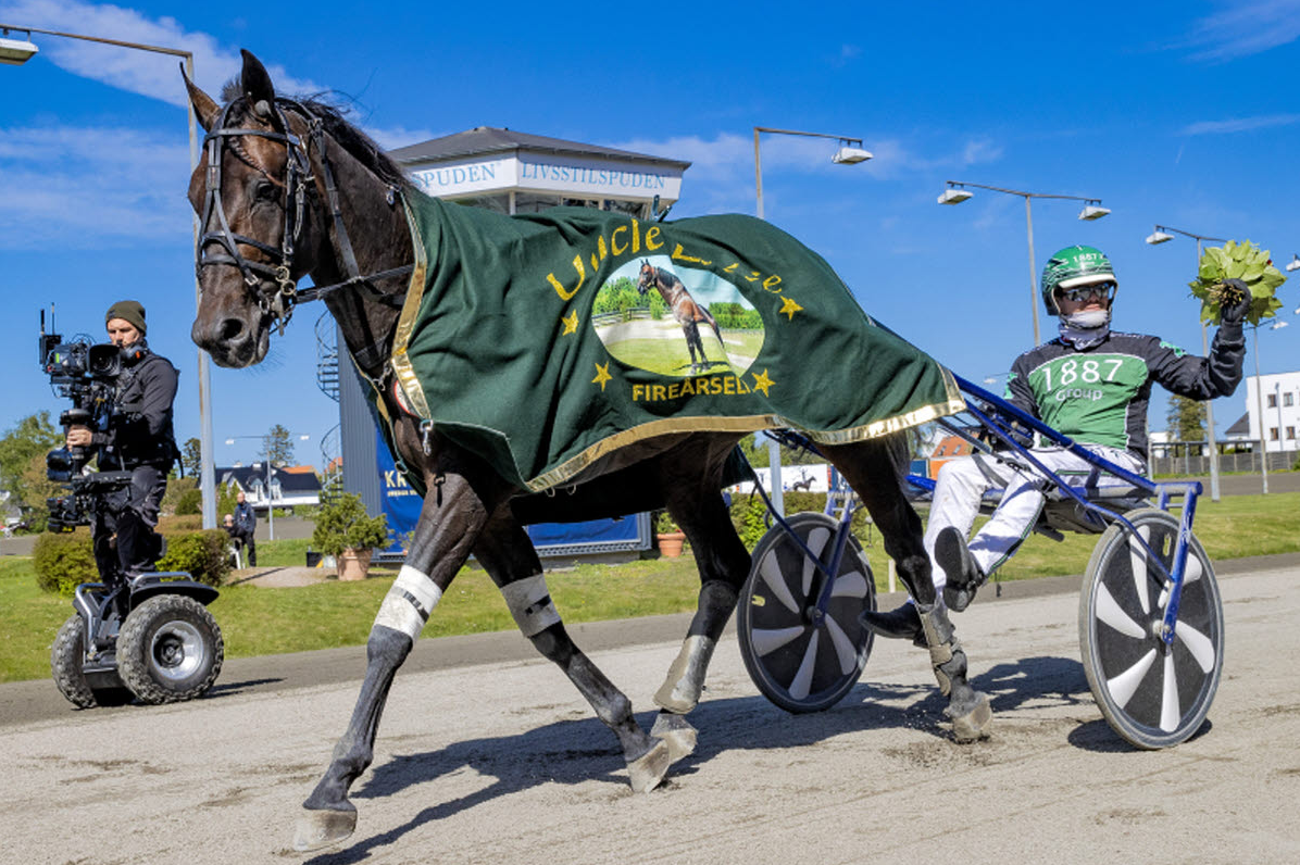 (Source: Norsk Rikstoto) A horse named 'Seven Nation Army' on a pre-race waltz in Oslo, Norway