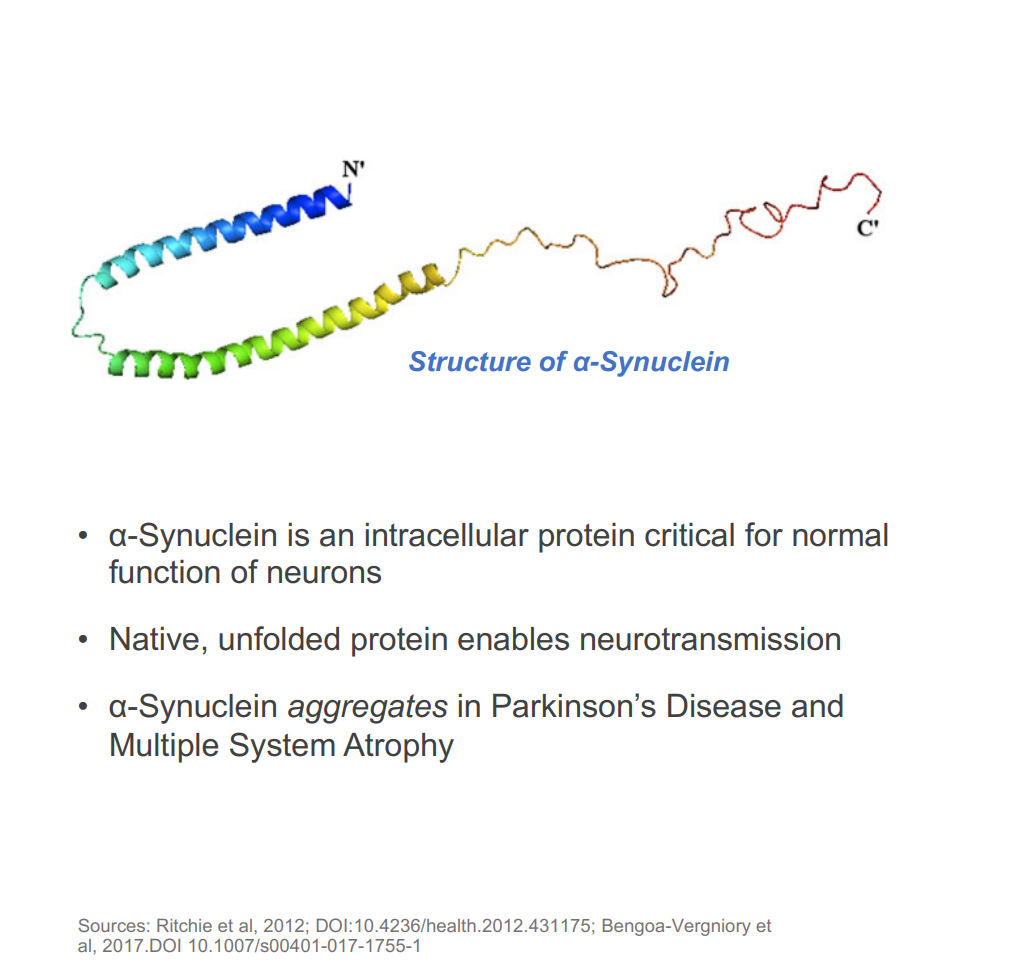 (Source: Alterity) An overview of the Alpha Synuclein protein which ATH434 intends to inhibit 