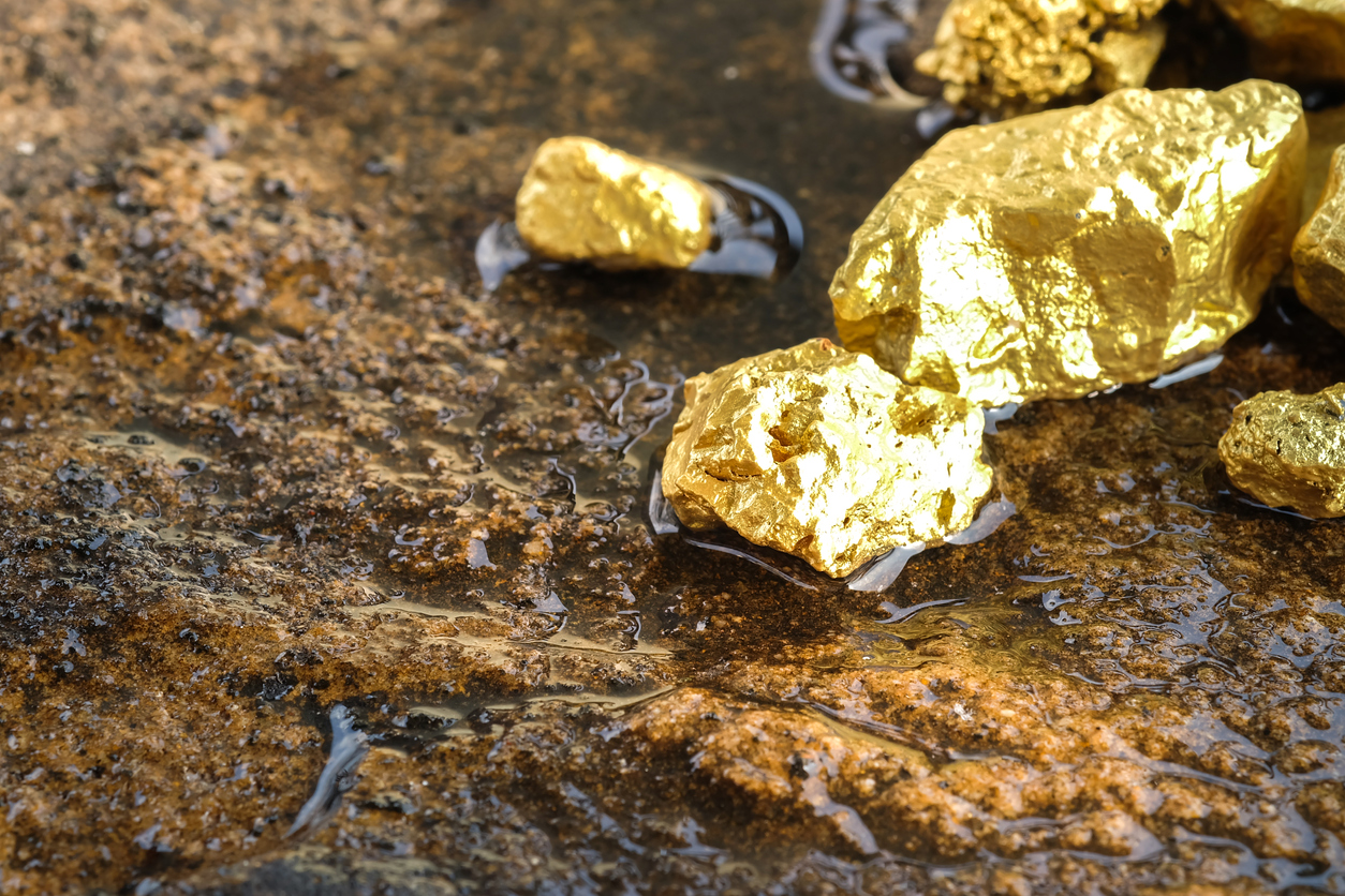 Gold nuggets resting on dirt in shallow water