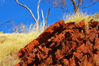 A photo of pindan rock outcropping in the foreground with dried grass and a dead tree in the background beneath a blue sky