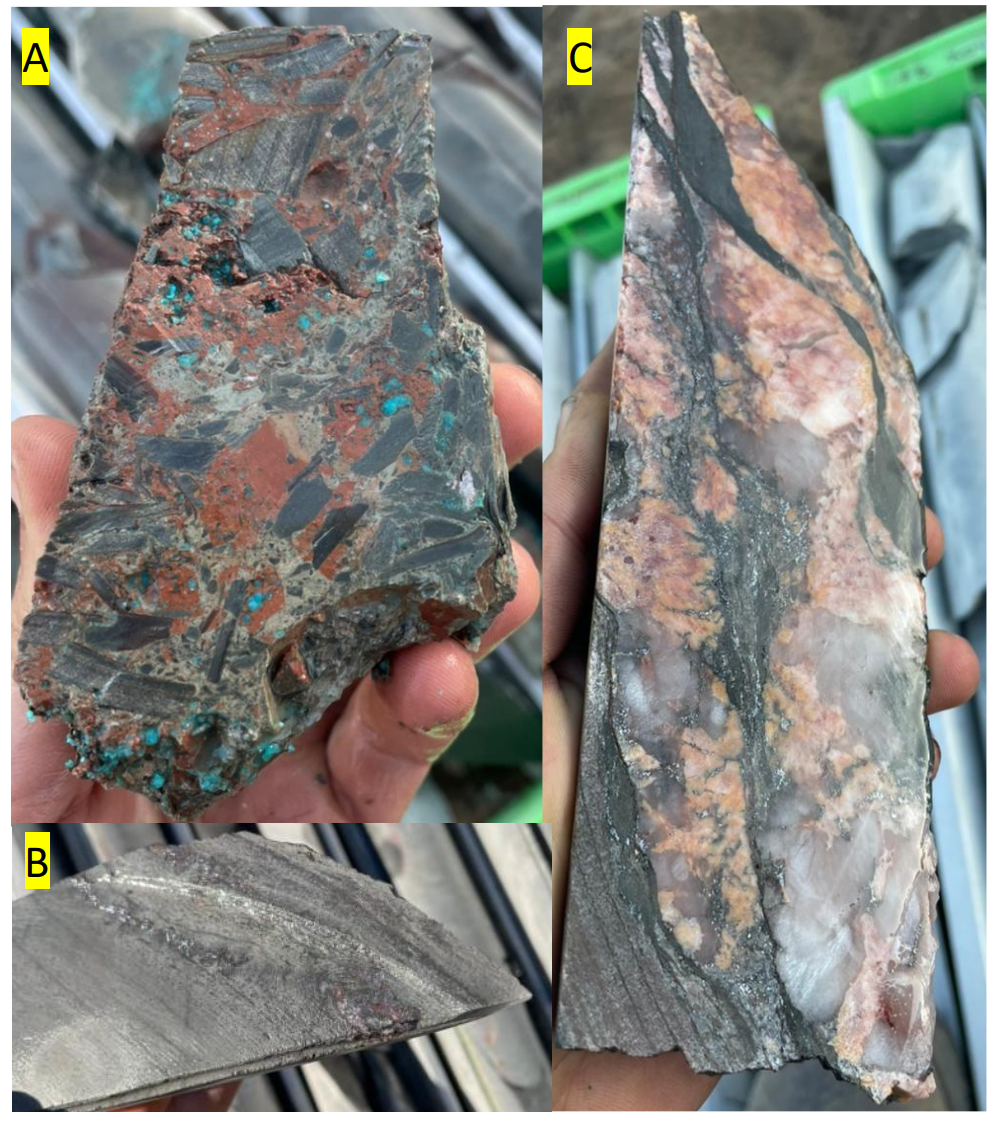 Mineralisation is clearly visible in samples retrieved from the latest infill drillcore on-site (Source: Cobre Limited)