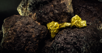Two gold nuggets (authenticity unknown) photographed in between three larger rocks against a dark background 