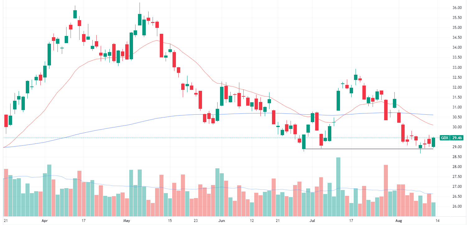 GDX