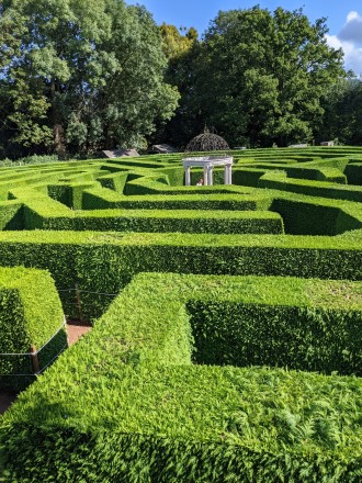 A maze made of hedge rows