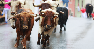 bulls running bull market