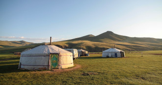 Traditional yurts set up on Mongolian grassland