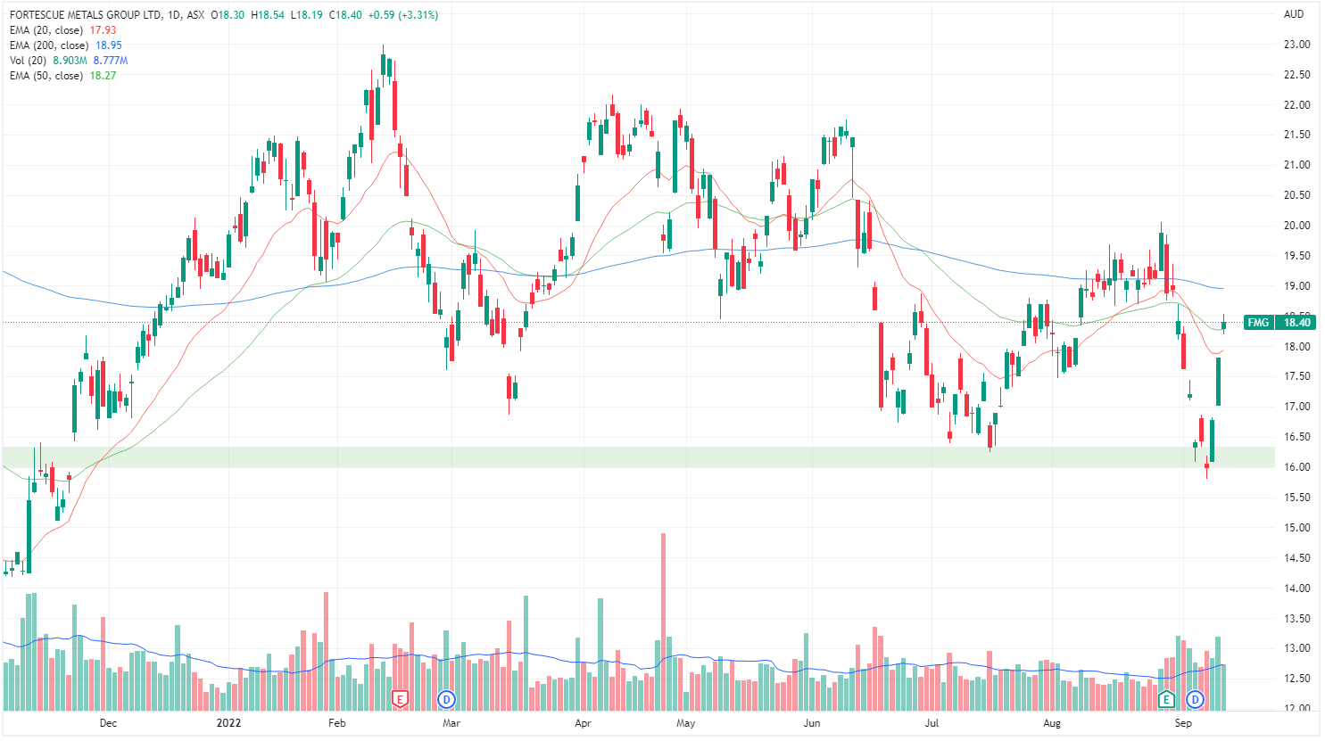 FMG chart