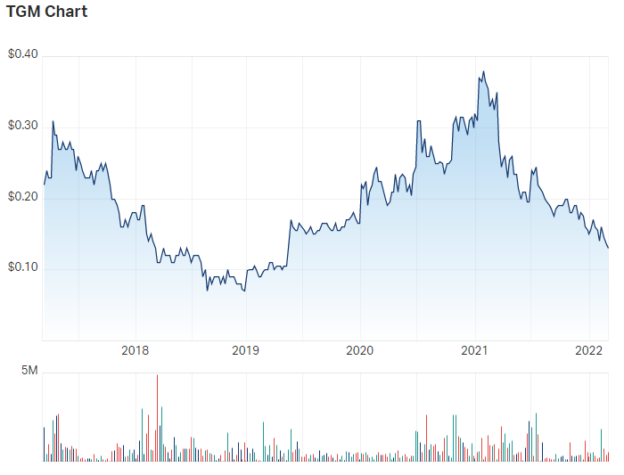 Theta Gold share price