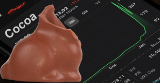 broken chocolate bunny cocoa price surge chart commodities mi