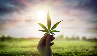An individual holds a cannabis leaf against the sun behind a cloudy sky in the background 
