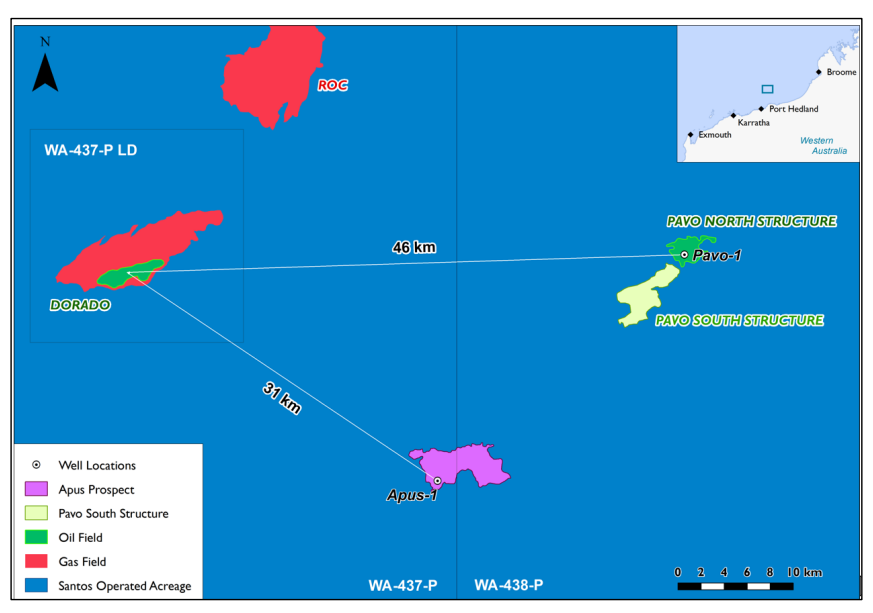 Pavo field location