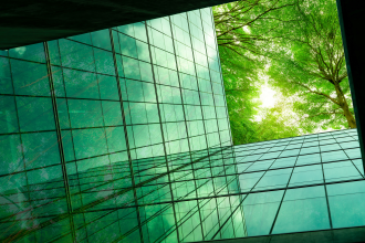 An energy rated building is photographed from the ground floor, facing a tree which towers over the structure through which sunlight filters 