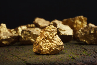 A collection of gold nuggets against a black background with one specimen in the foreground 