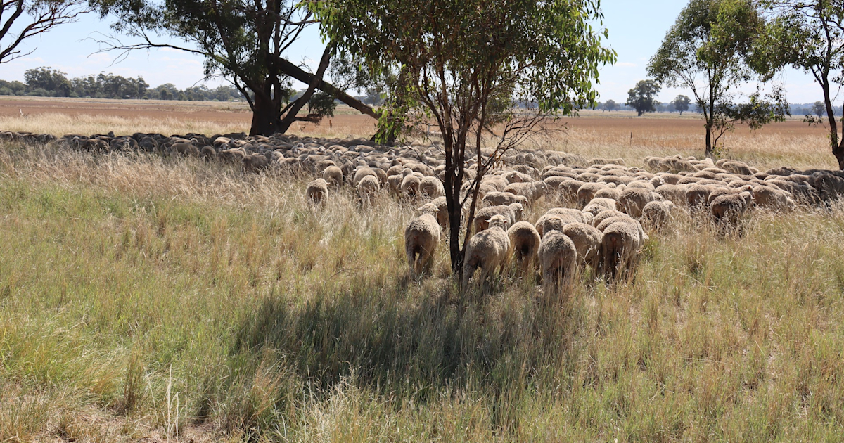 Asx Highest Dividends Asx Highest Dividends