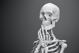 An educational model of a human skeleton modified into a thoughtful pose