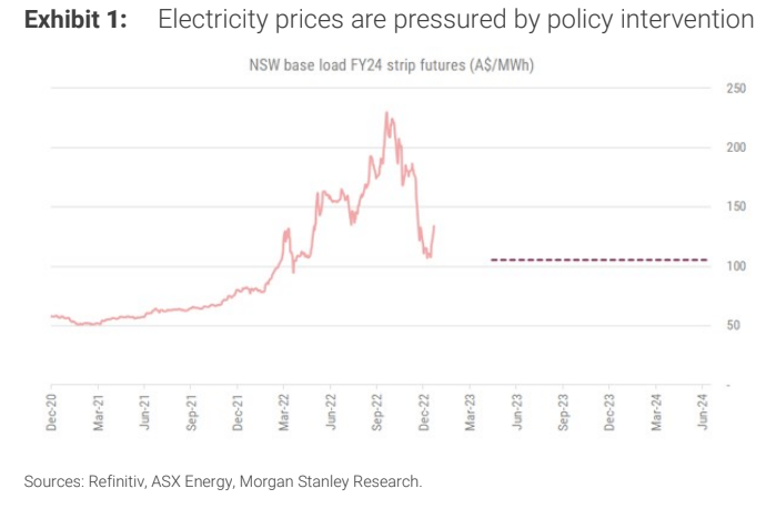 Electricity prices on policy intervention