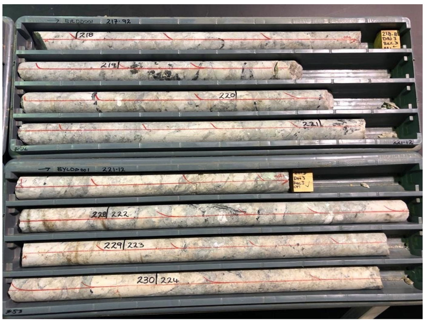 A look at the core in question pulled from downhole BYLDD001