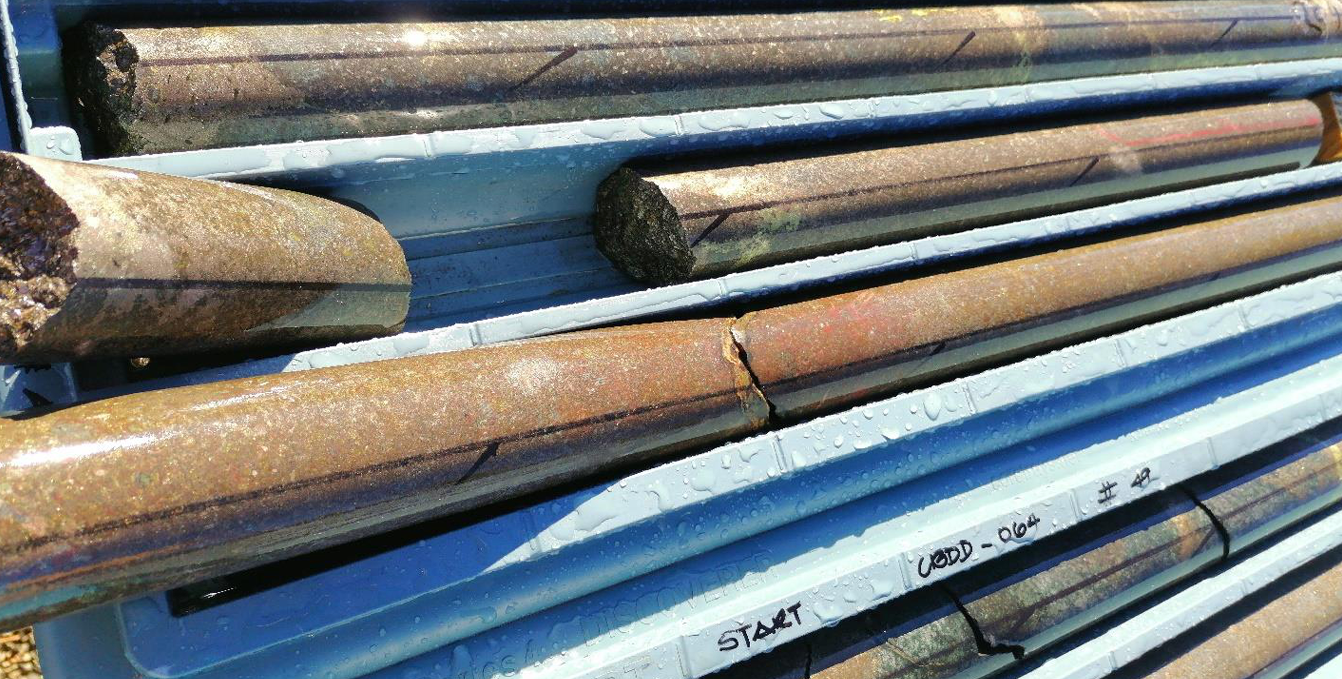 Drill core samples of nickel and copper at a project by Estrella Resources