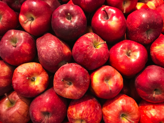 Generic image of a harvest of apples 