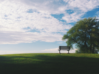 An empty park bench facing away from the viewer appears to bask in the sunlight of a warm field nearby a tree, suggesting somebody has passed away or placement at a cemetery