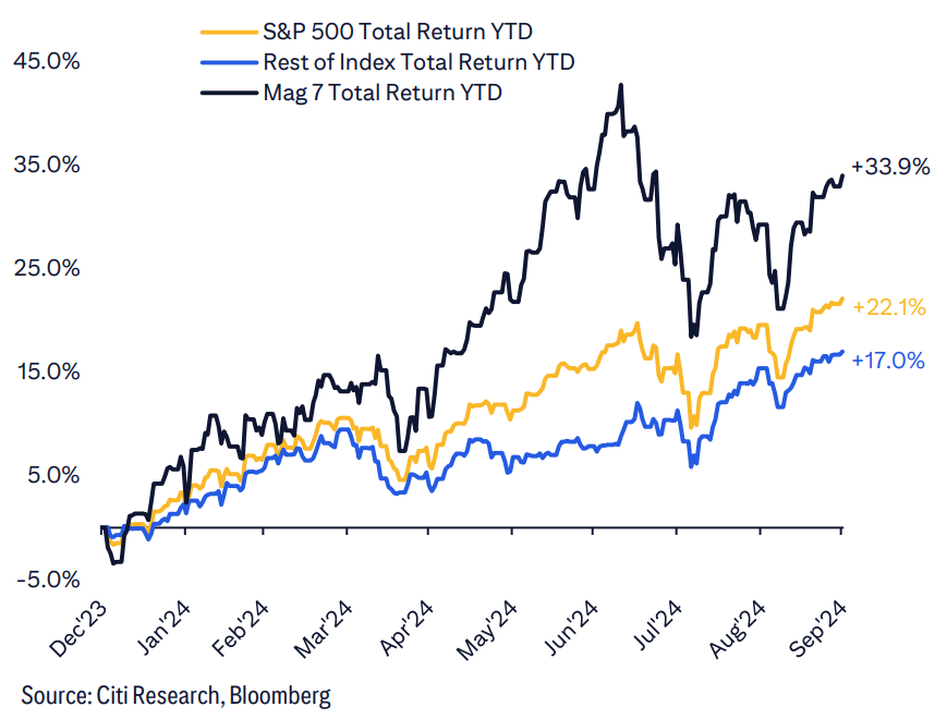 Citi Mag 7 vs. Rest of Index YTD Returns